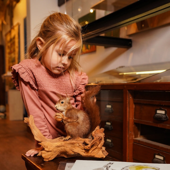 Longsleeve Dark old pink