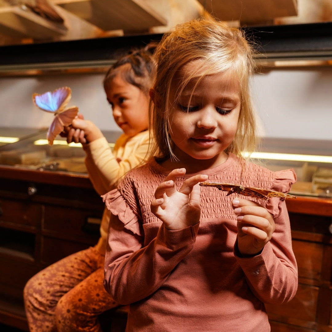 Longsleeve Dark old pink