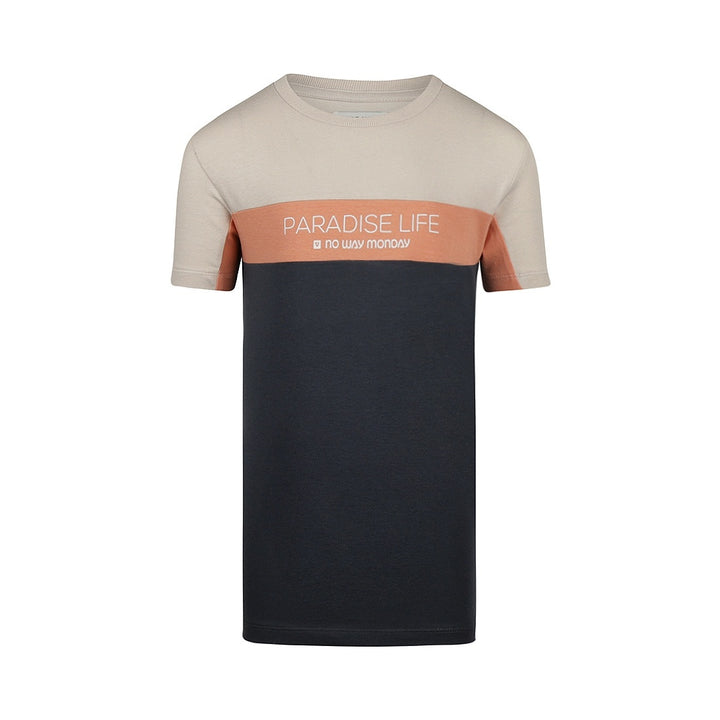 T - shirt Steel blue - boys 2