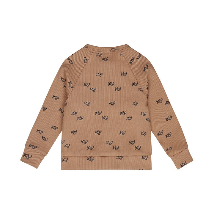 Pullover Braun - 02 Jungen Sky Rider