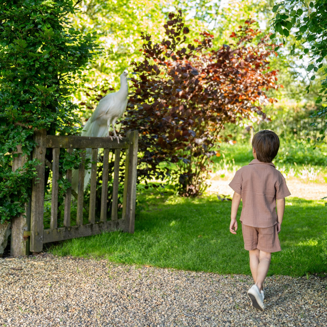 Bluse Verwaschenes Braun - Jungen 1