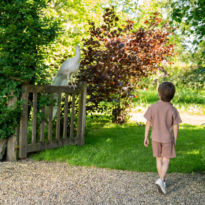 Bluse Verwaschenes Braun - Jungen 1