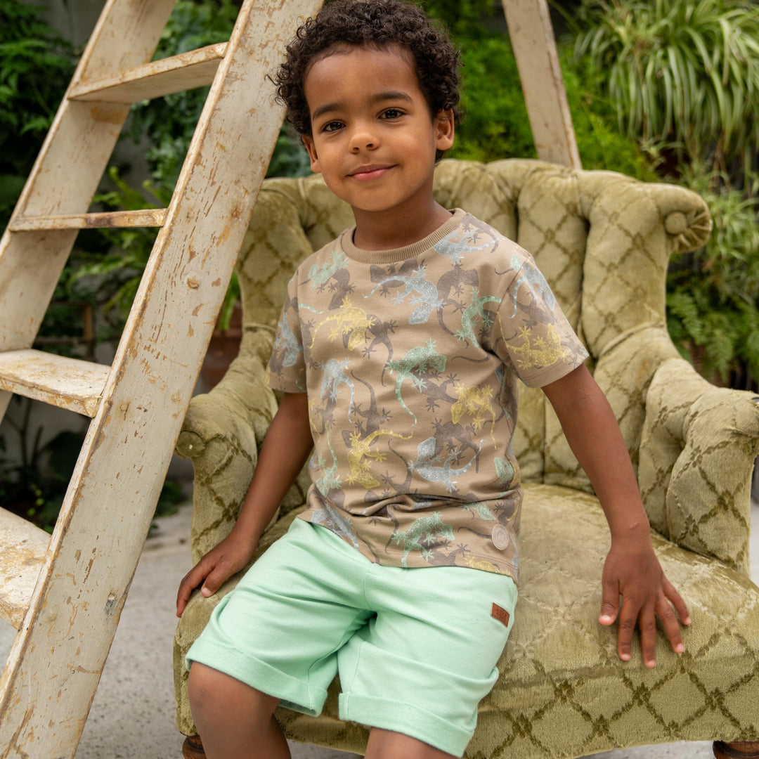 T - shirt Taupe - boys 3