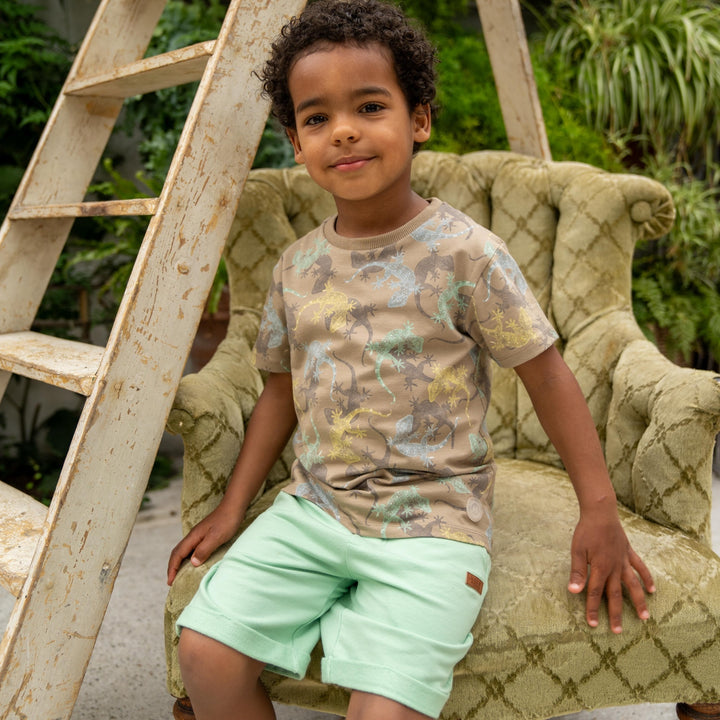 T - shirt Taupe - boys 3