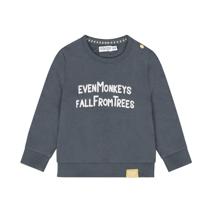 Trui Steel blue - monkey