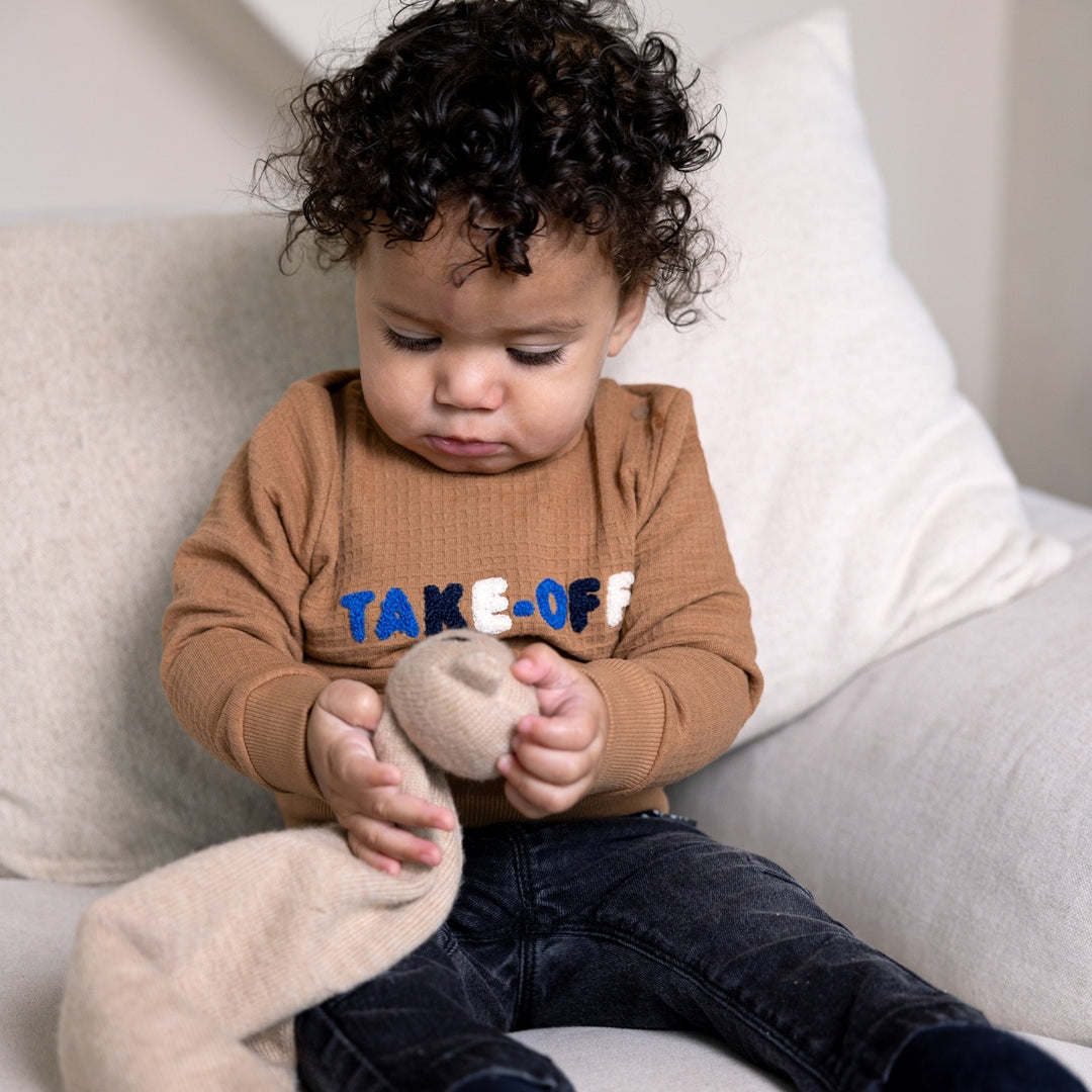 Trui Brown - lets get going