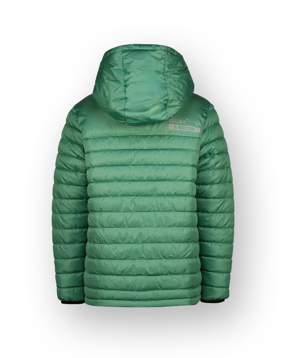 Zomerjas Tobias Green earth