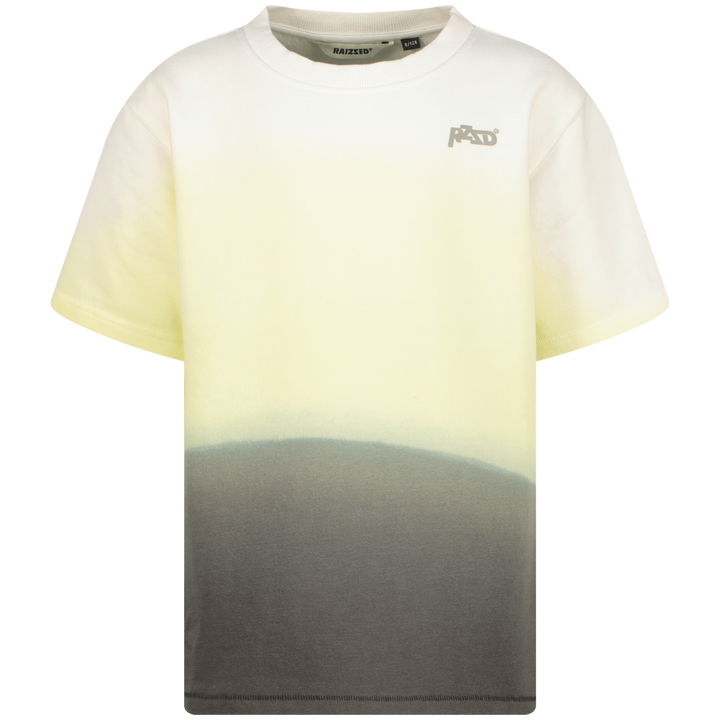 T - shirt Horizon Pastel Lime Short high waist