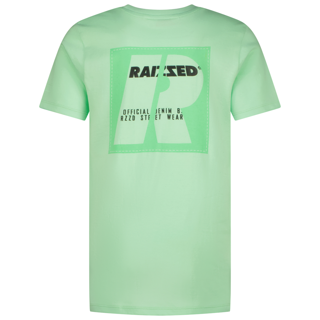 T - shirt Hoosic Fresh opal Regular