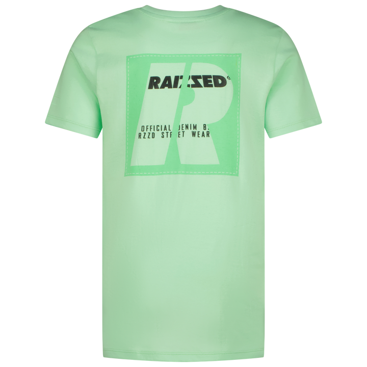 T - shirt Hoosic Fresh opal Regular