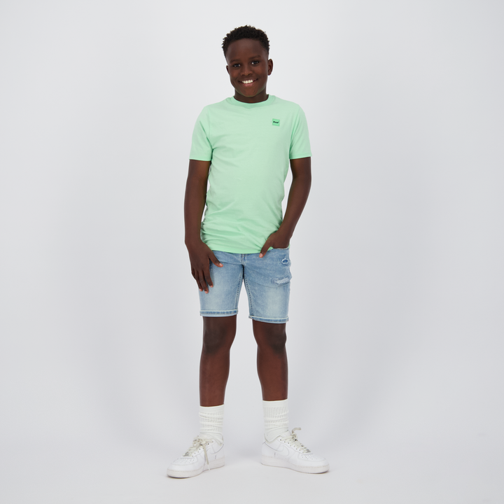 T - shirt Hoosic Fresh opal Regular