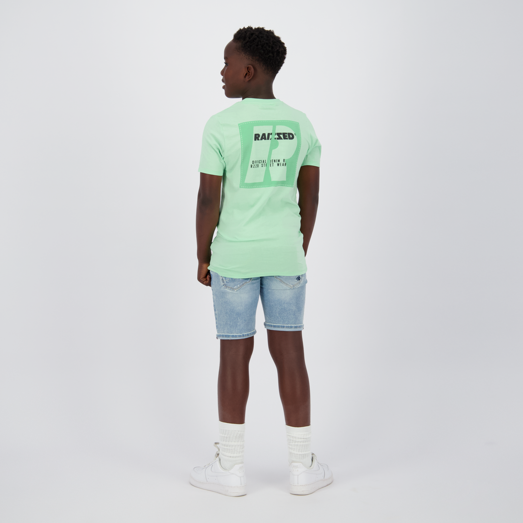 T - shirt Hoosic Fresh opal Regular