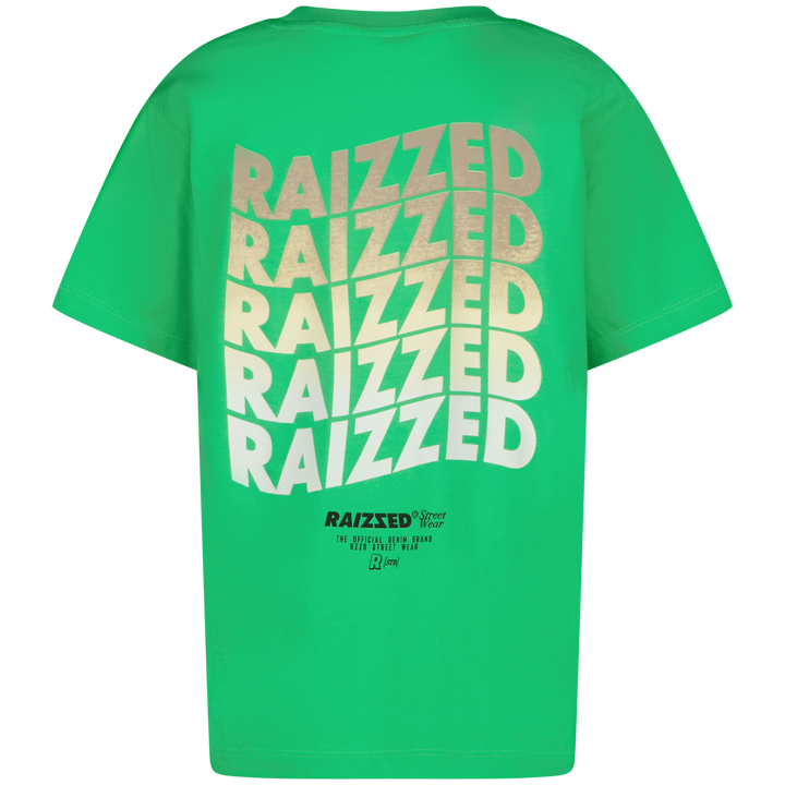 T - shirt Haw Irish fresh green Boxy