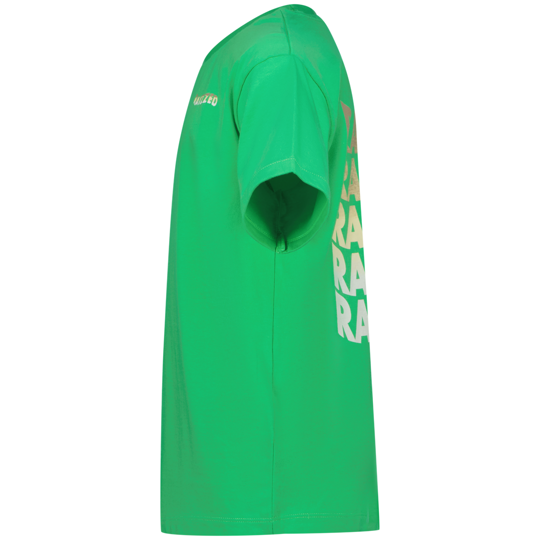 T - shirt Haw Irish fresh green Boxy