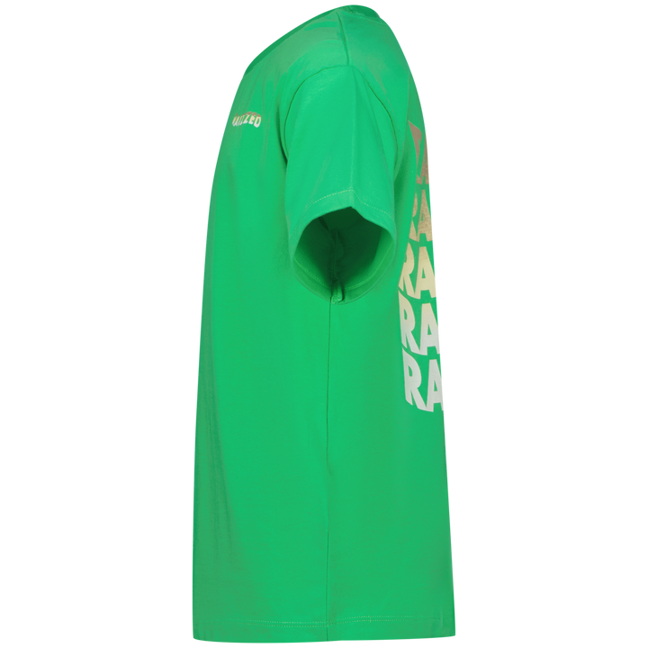 T - shirt Haw Irish fresh green Boxy