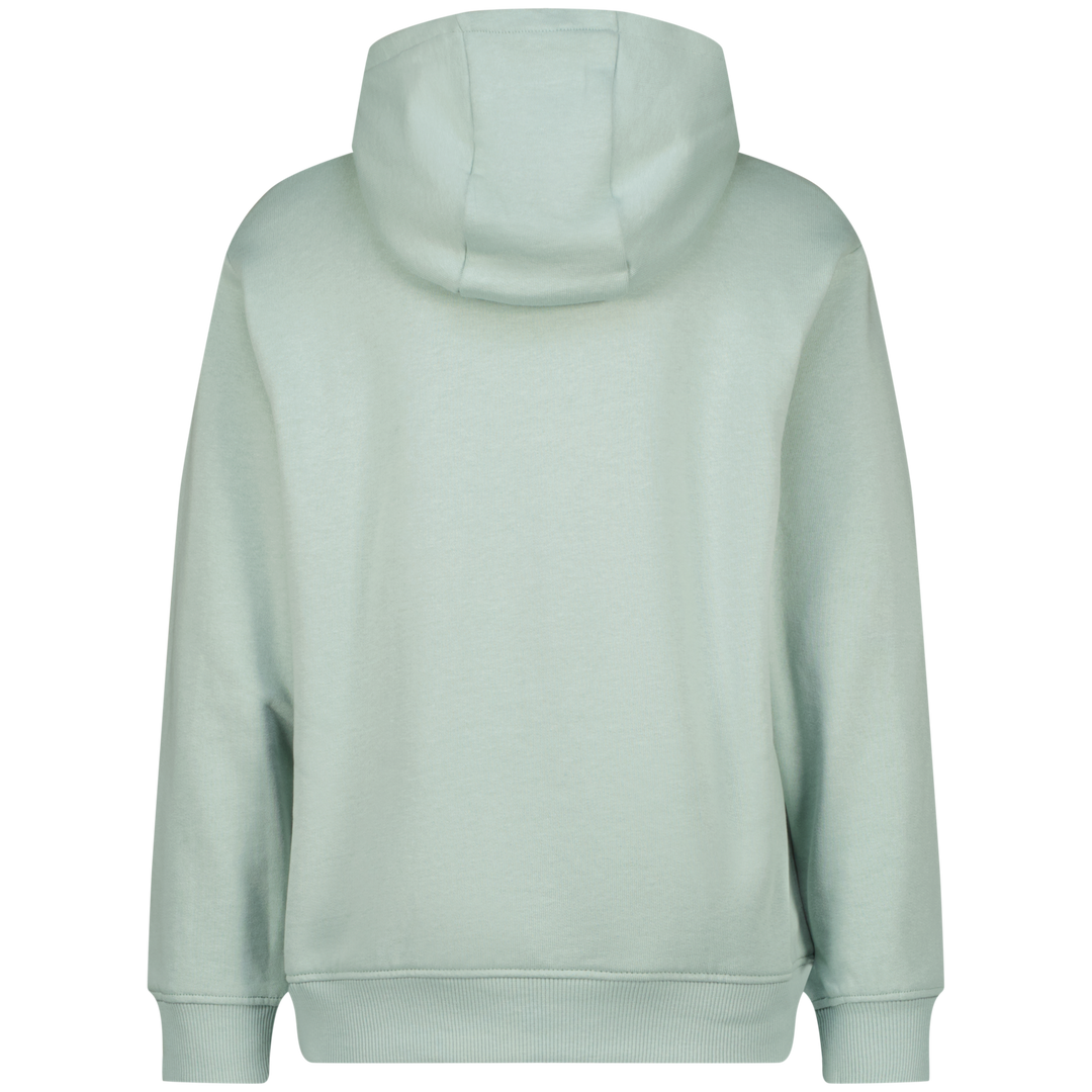 Trui Grey mist Hooded