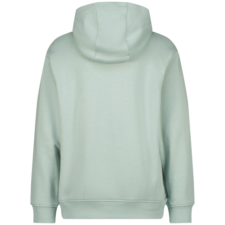 Trui Grey mist Hooded