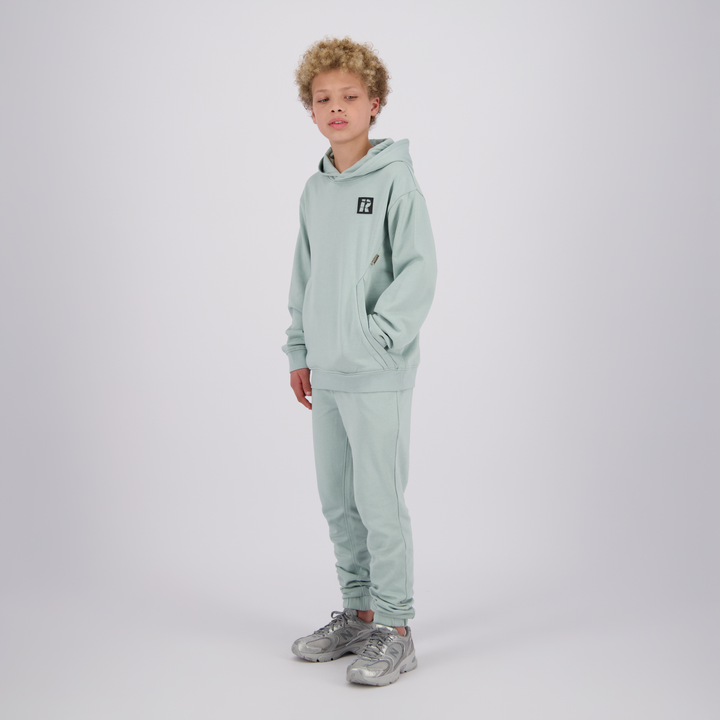 Trui Grey mist Hooded