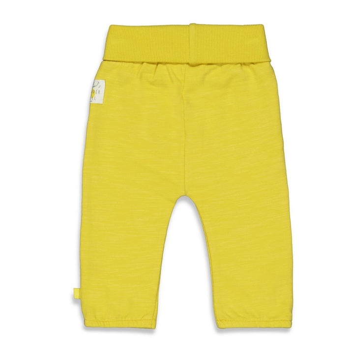 Broek Lemon - Lemons