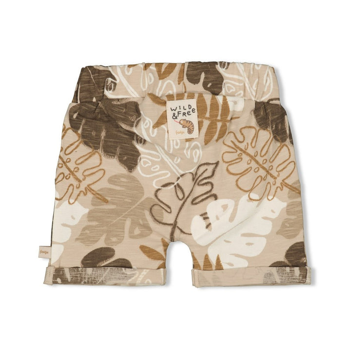 Short Zand - Chameleon