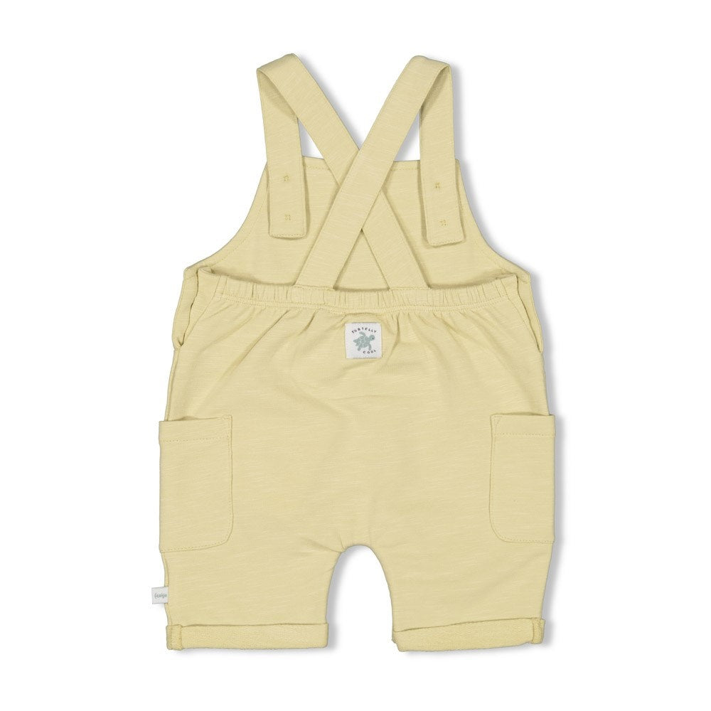 Kurze Latzhose Lime - Turtelly Cool