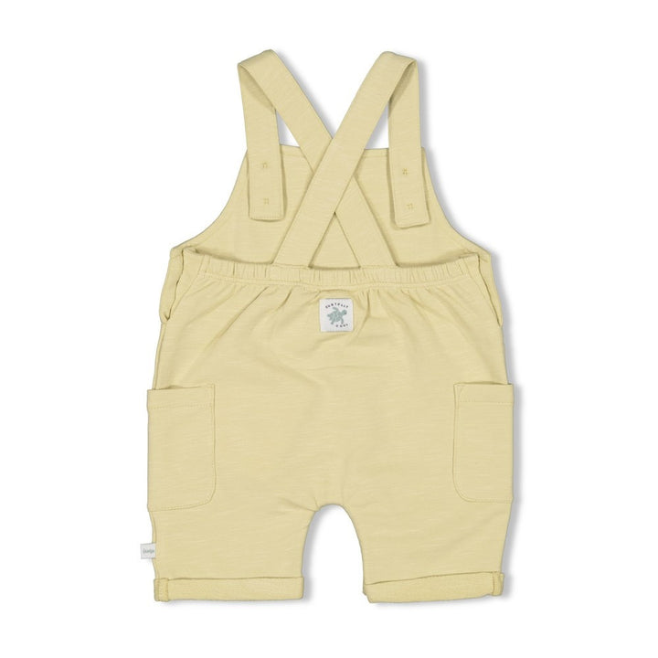 Kurze Latzhose Lime - Turtelly Cool