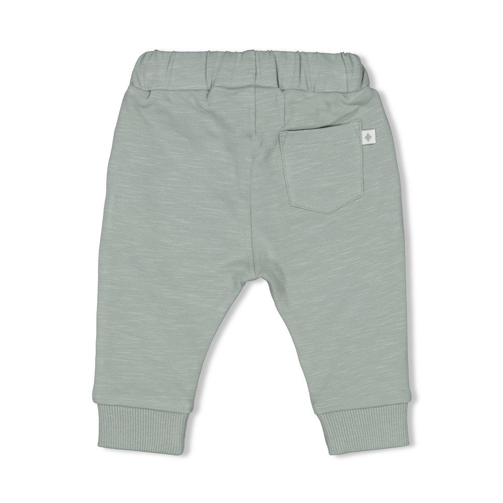 Broek Zeegroen - Turtelly Cool