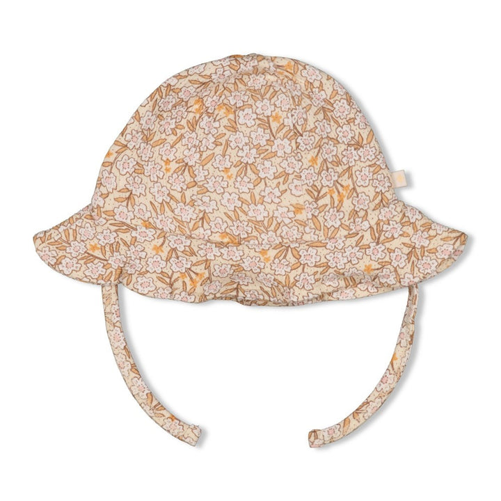 Sonnenhut Creme - Blumenfeld