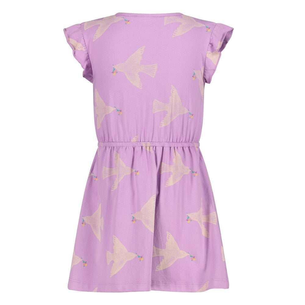 Jurk Lila - Picknick Perfect