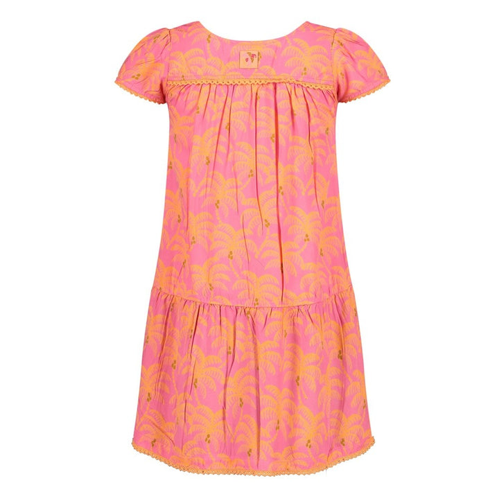 Jurk Roze - Samba Shake