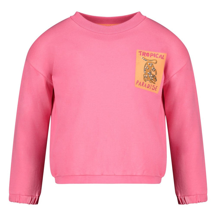 Sweater Roze - Samba Shake