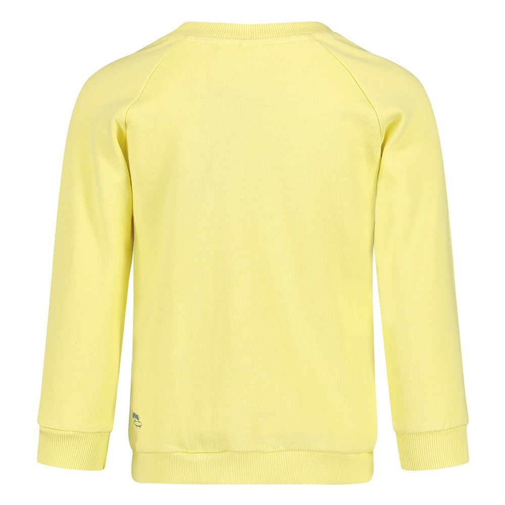 Sweater Geel - Explore More