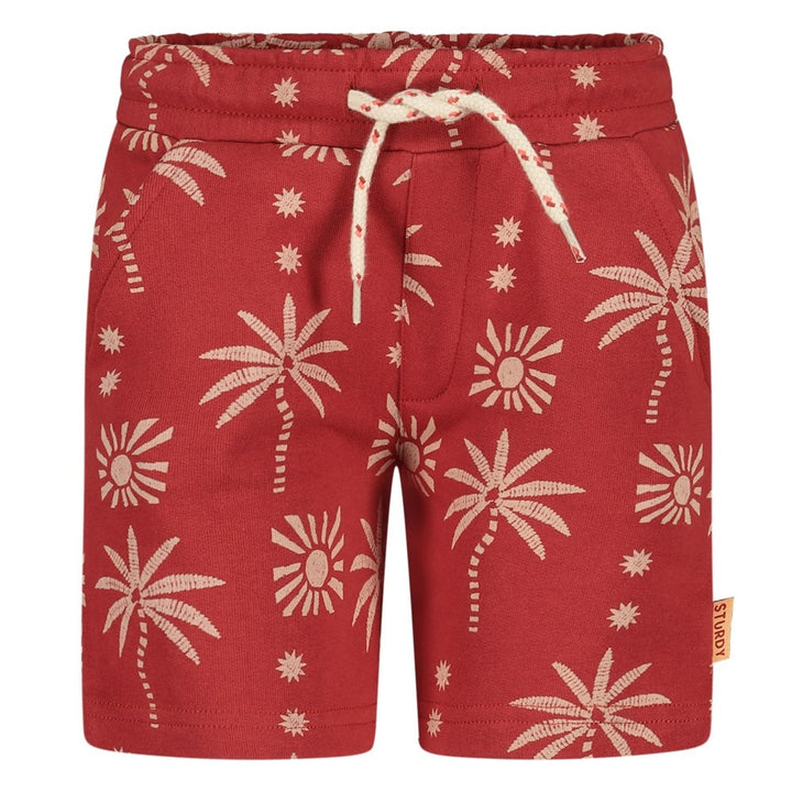 Short Brique - Happy Rio