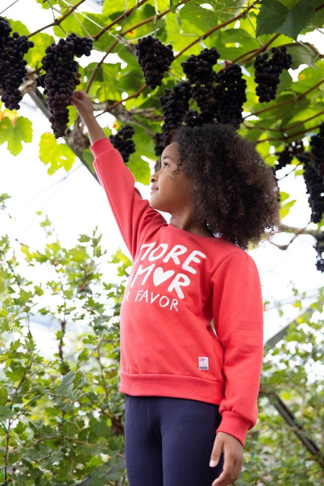 Flared broek rib Marine - Ciao Bella