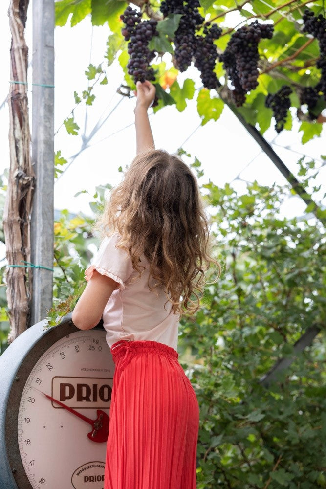 Culotte plisse Rood - Ciao Bella