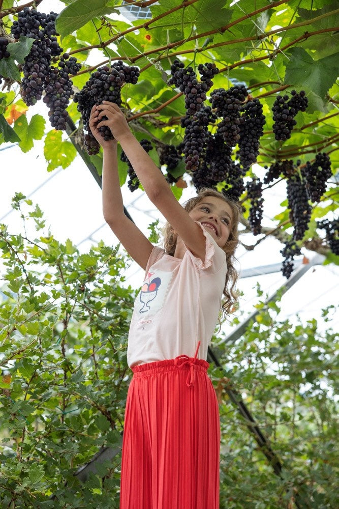T - shirt Roze - Ciao Bella