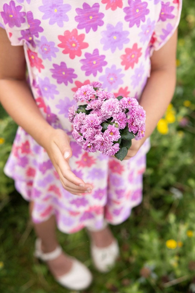 Jurk Koraal - Picknick Perfect