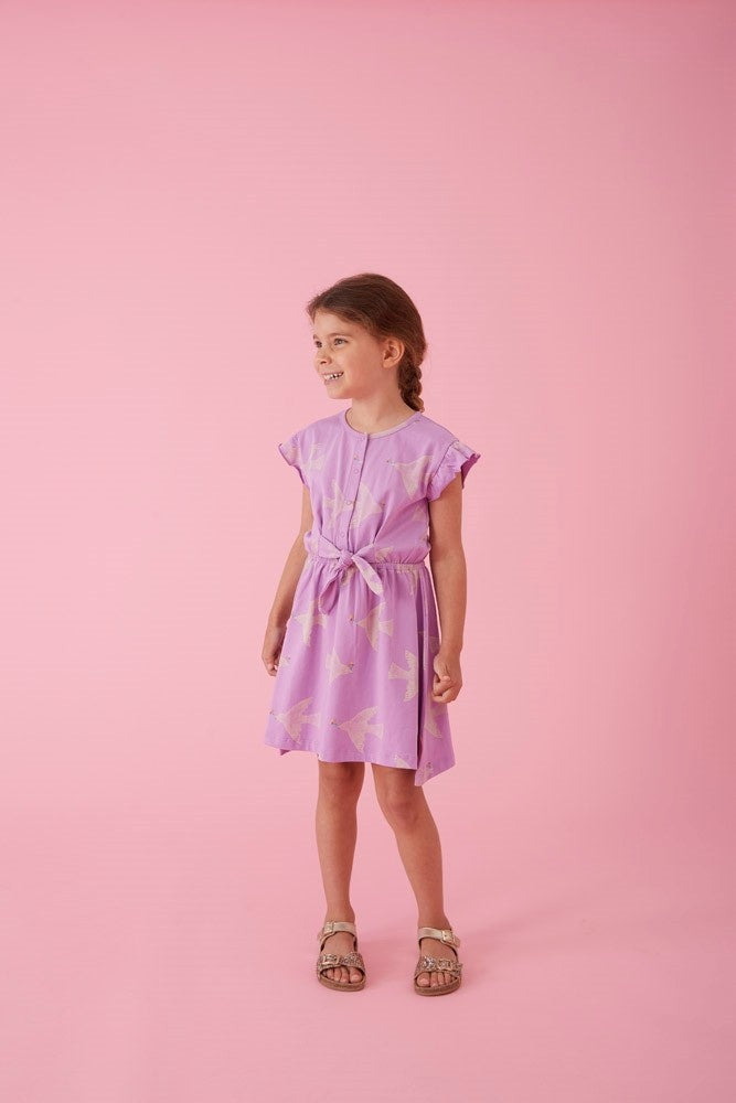 Jurk Lila - Picknick Perfect