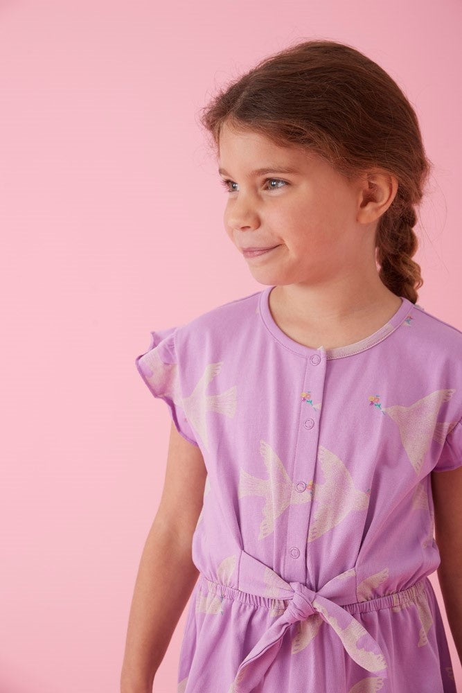 Jurk Lila - Picknick Perfect