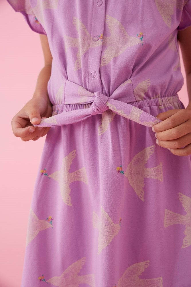 Jurk Lila - Picknick Perfect