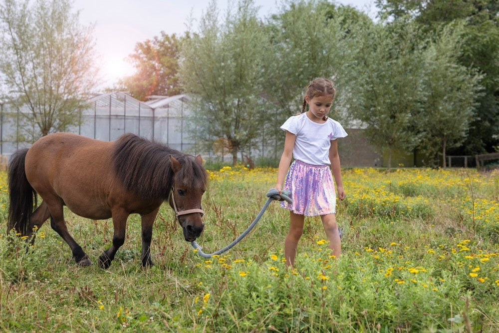 T - shirt Wit - Picknick Perfect
