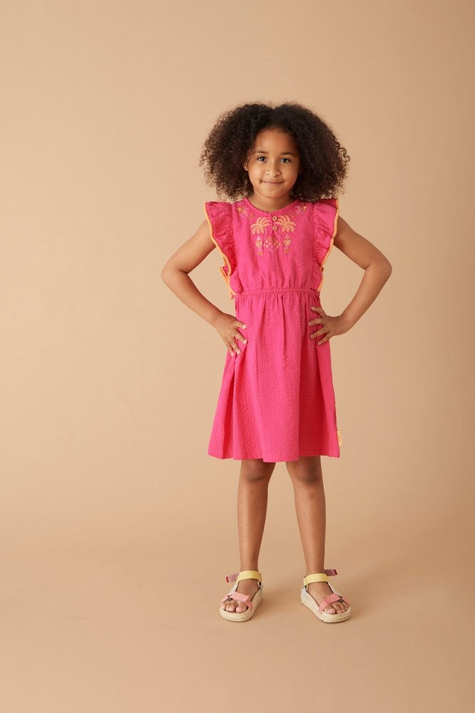 Jurk Fuchsia - Samba Shake