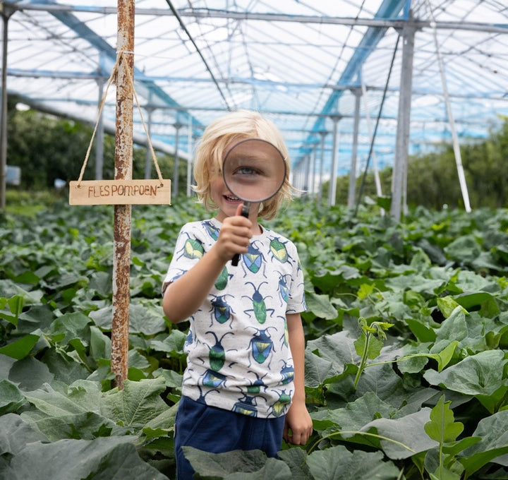 T - shirt Offwhite melange - Explore More