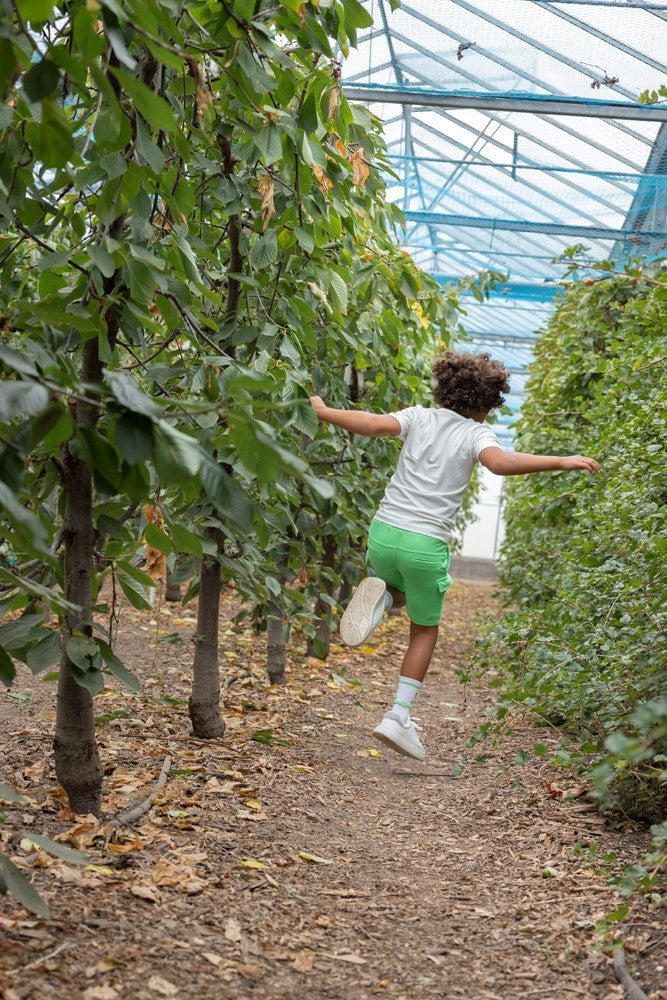 Kurz l.Groen - Mehr entdecken