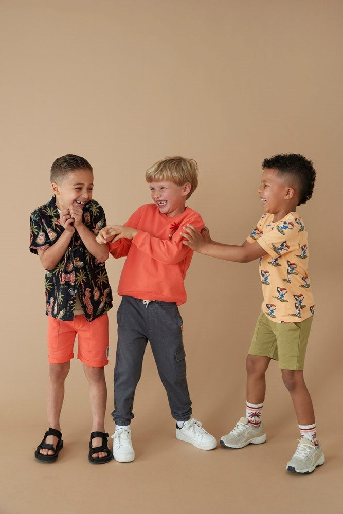 Broek Antraciet - Happy Rio