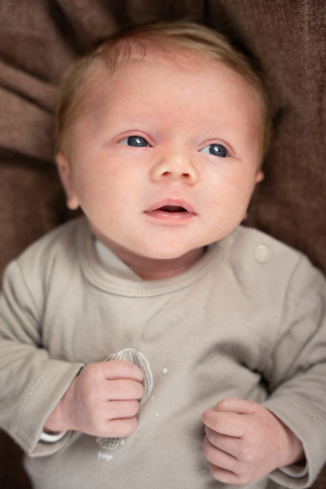 Longsleeve Taupe - The Neutrals