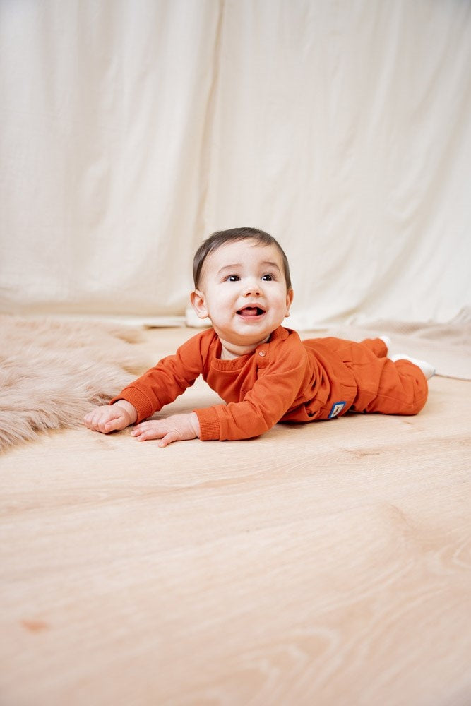 Broek Brique - Go Fetch