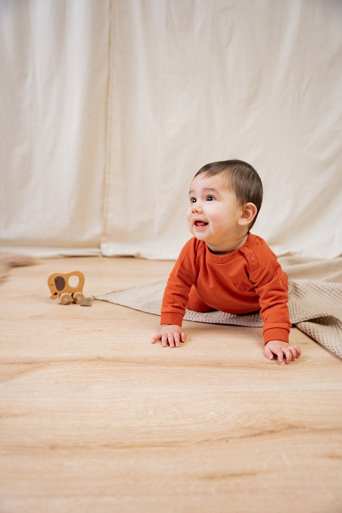 Broek Brique - Go Fetch