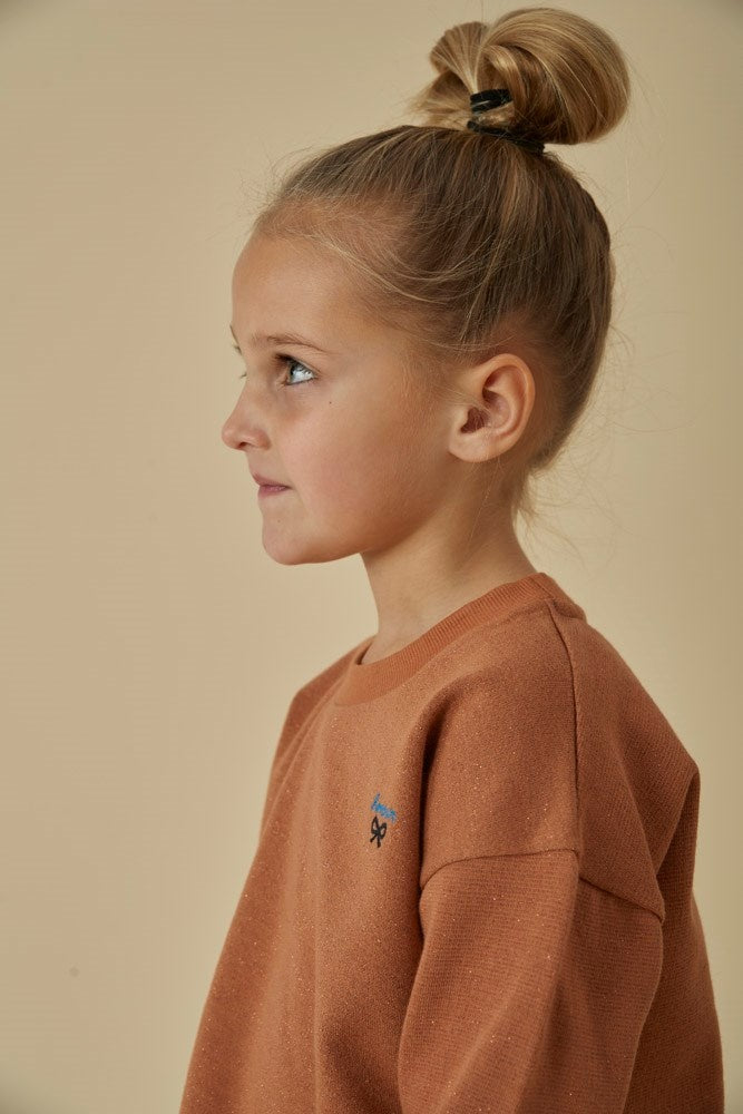 Longsleeve Camel - Amour Toujours