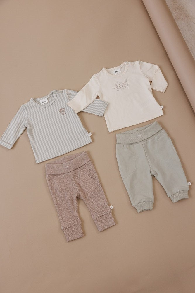 Broek Mint - Fall Favorites